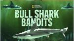 Watch Bull Shark Bandits Megavideo