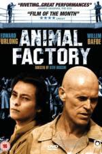 Watch Animal Factory Megavideo