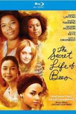 Watch The Secret Life of Bees Megavideo