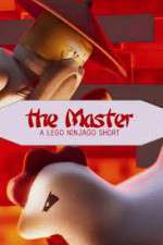 Watch The Master A Lego Ninjago Short Megavideo
