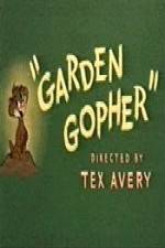 Watch Garden Gopher Megavideo