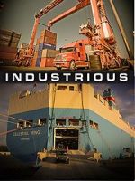 Watch Industrious Megavideo