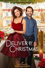 Watch Deliver by Christmas Megavideo