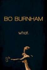 Watch Bo Burnham: what Megavideo