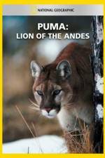 Watch National Geographic  Puma: Lion of the Andes Megavideo