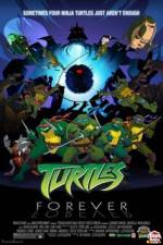Watch Teenage Mutant Ninja Turtles Turtles Forever Megavideo