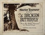 Watch The Broken Butterfly Megavideo