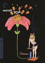 Watch Monterey Pop Megavideo