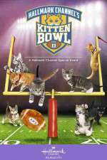 Watch Kitten Bowl II Megavideo