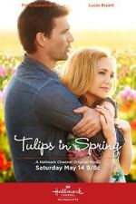 Watch Tulips in Spring Megavideo