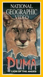 Watch Puma: Lion of the Andes Megavideo