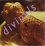 Watch Divinyls: I Touch Myself Megavideo