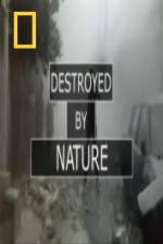 Watch National Geographic Destroyed By Nature Megavideo