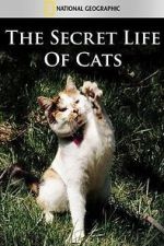 Watch The Secret Life of Cats Megavideo