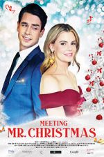 Watch Meeting Mr. Christmas Megavideo