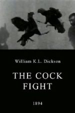 Watch The Cock Fight Megavideo