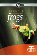 Watch Nature: Fabulous Frogs Megavideo