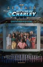 Watch Because of Charley Megavideo