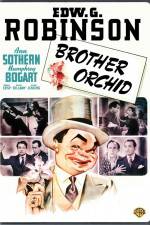 Watch Brother Orchid Megavideo
