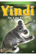 Watch Yindi the Last Koala Megavideo
