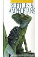 Watch Reptiles and Amphibians Megavideo
