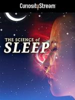 Watch The Science of Sleep Megavideo