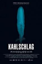 Watch Kahlschlag Megavideo