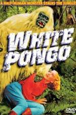 Watch White Pongo Megavideo