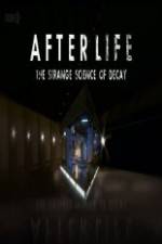 Watch After Life: The strange Science Of Decay Megavideo