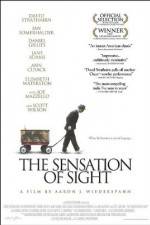 Watch The Sensation of Sight Megavideo