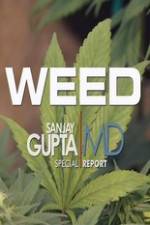 Watch CNN Weed Sanjay Gupta Report Megavideo