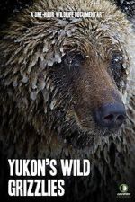 Watch Yukon\'s Wild Grizzlies Megavideo