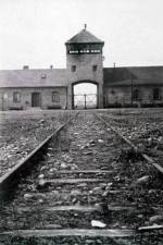 Watch AUSCHWITZ: FRENZIED KILLING Megavideo