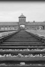 Watch AUSCHWITZ: ORDERS AND INITIATIVES Megavideo