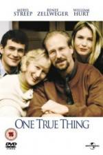 Watch One True Thing Megavideo