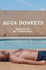 Watch Agua Donkeys Megavideo