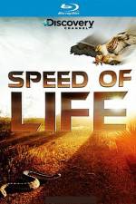 Watch Speed of Life Megavideo