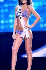 Watch 2010 Miss Universe Pageant Megavideo