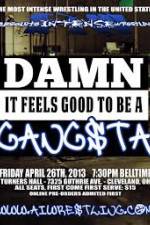 Watch AIW Damn It Feels Good To Be A Gangsta Megavideo