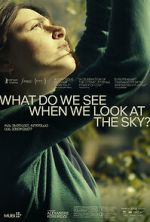 Watch What Do We See When We Look at the Sky? Megavideo