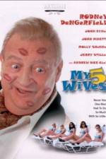Watch My 5 Wives Megavideo