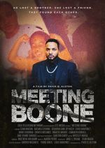 Watch Meeting Boone Megavideo