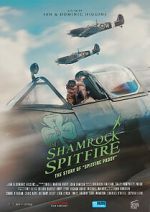 Watch The Shamrock Spitfire Megavideo
