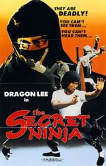 Watch Secret Ninja Megavideo