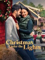 Watch Christmas Under the Lights Megavideo