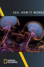 Watch Sex How It Works Megavideo