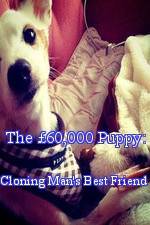 Watch The 60,000 Puppy: Cloning Man's Best Friend Megavideo