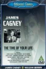Watch The Time of Your Life Megavideo