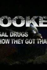 Watch Hooked Illegal Drugs & How They Got That Way - Opium Morphine and Heroin Megavideo