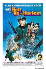 Watch Hell Up in Harlem Megavideo